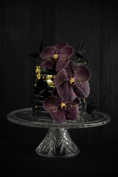 ORQUÍDEA MORADA